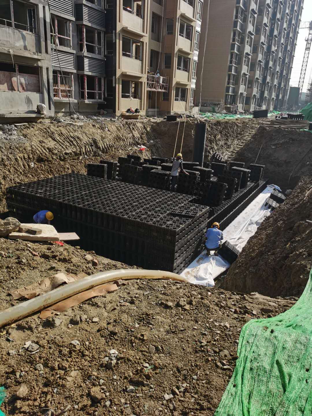 1600847494183785.jpg