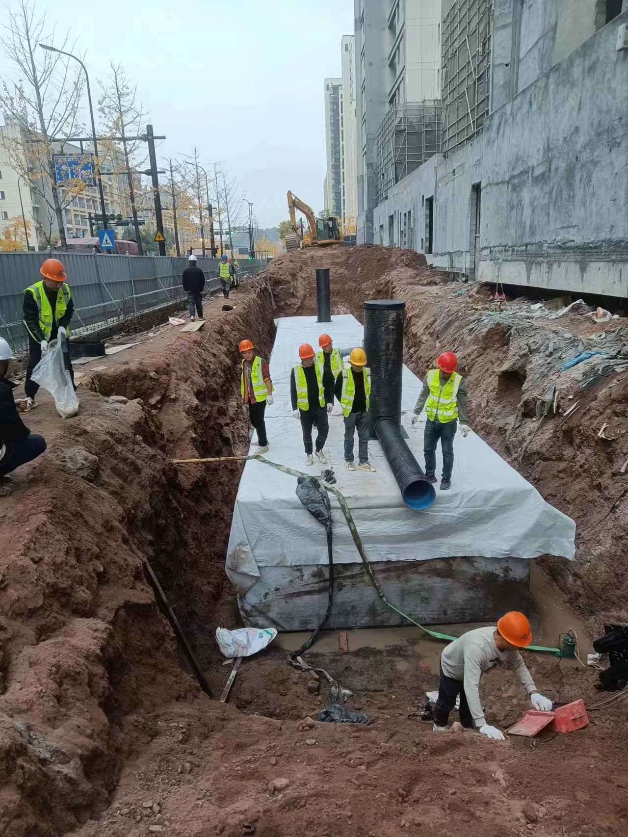 1701334203511816.jpg 4.jpg